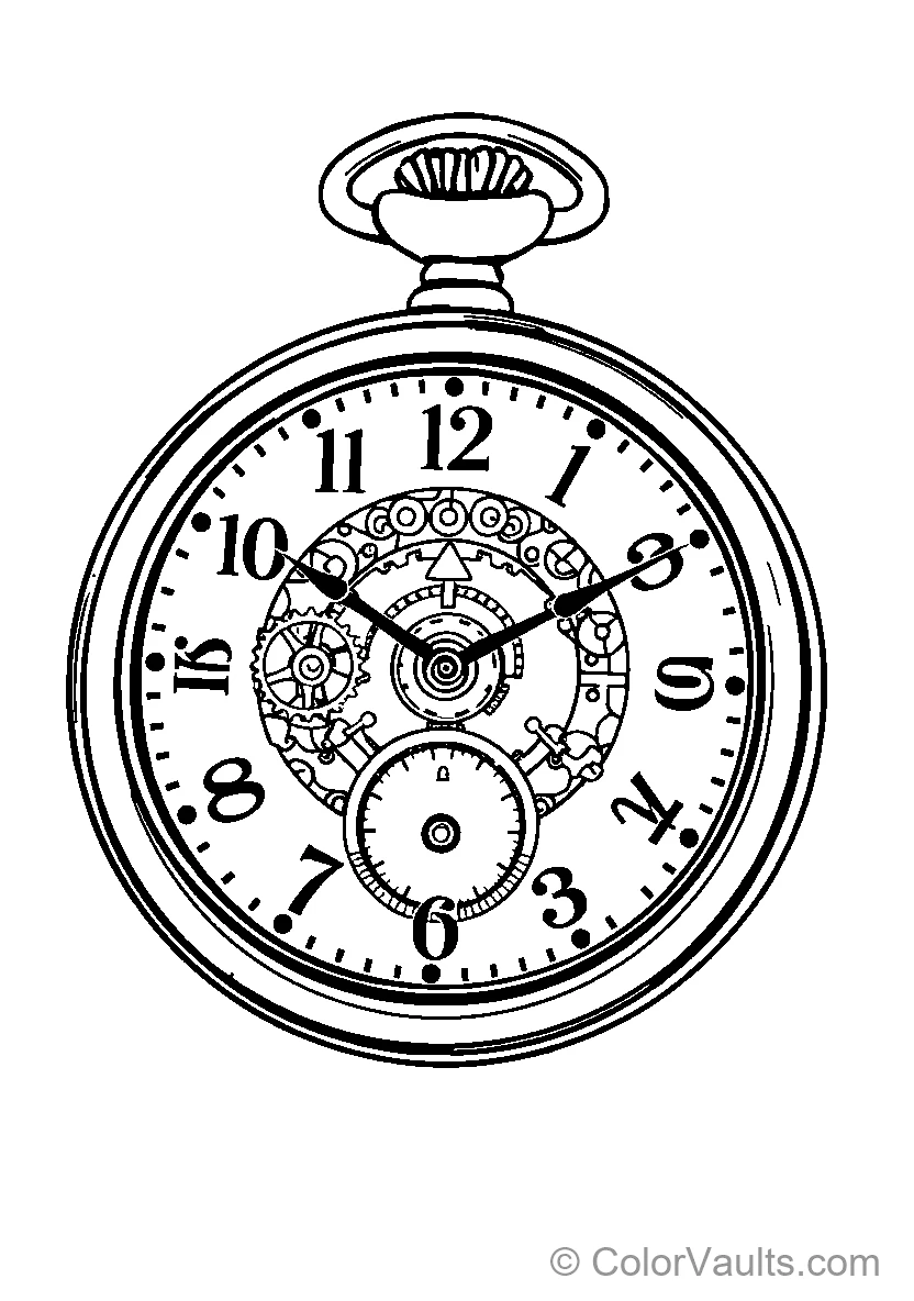 Pocket Watch Illustration